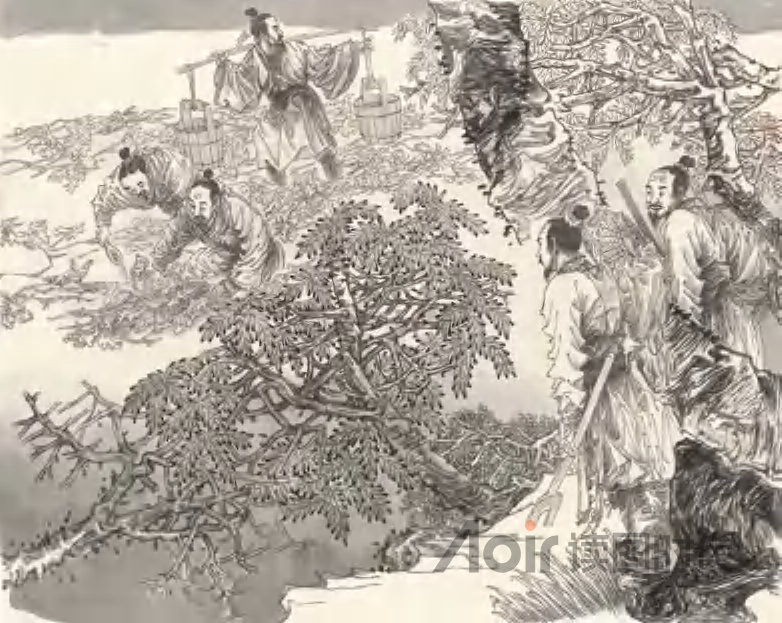 己所不欲，勿施于人。徐惠泉绘8