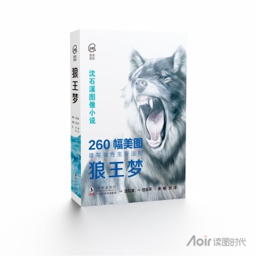 《狼王梦》（美育画堂系列）